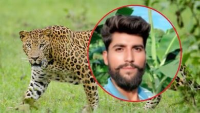 Photo of बिबट्याने शेतकऱ्यावर हल्ला करताच कुत्र्यांनी घेतली झेप : बलिदान दिलं पण मालकाला वाचवललं !