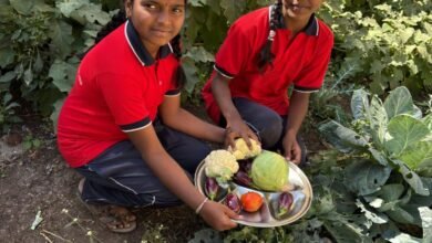Photo of शाळेत फुलवली नैसर्गिक पोषण परसबाग !